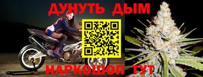 PSILOCYBIN Гусиноозёрск